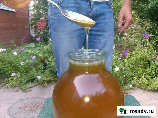 Натуральный мёд. Мед с личной пасеки Тимашевск - изображение 1