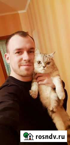 Мастер на час / Сборка мебели Волжский - изображение 1