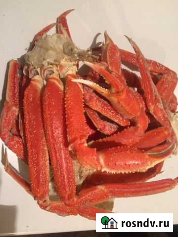 Краб Камчатский-Стригун Хабаровск - изображение 1