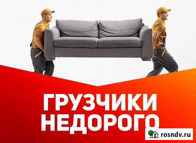 Переезды грузчики Мамоново - изображение 1