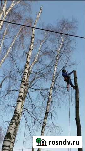 Покос травы, спил деревьев, расчистка участков под Кирово-Чепецк - изображение 1