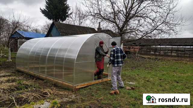 Усиленная Теплица Черняховск - изображение 1