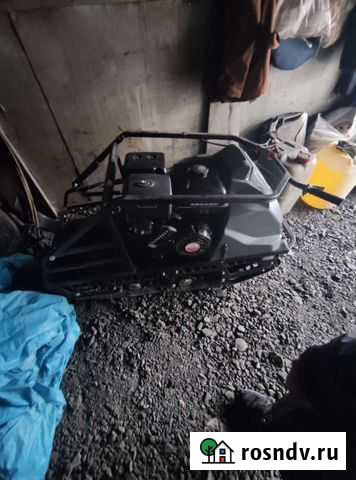 Мото сабака Таштагол - изображение 1