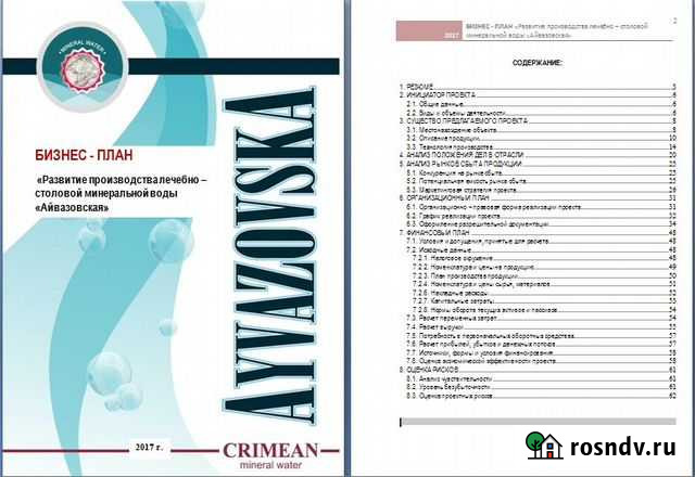 Разработка бизнес-плана для банка, инвестора Екатеринбург - изображение 1