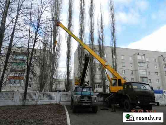 Услуги спецтехники, опиловка деревьев Первомайский