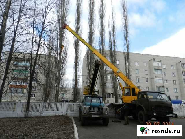 Услуги спецтехники, опиловка деревьев Первомайский - изображение 1