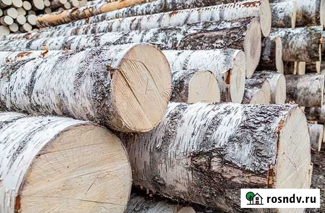 Лес кругляк береза Елабуга - изображение 1