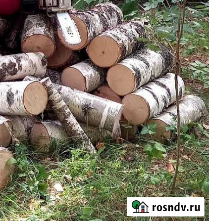 Дрова Людиново - изображение 1