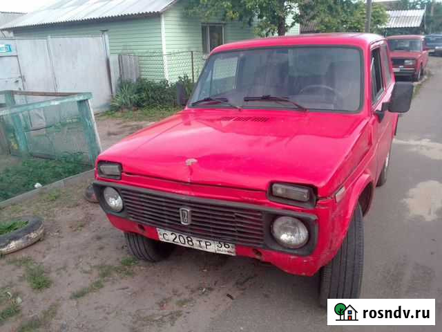 Нива Ивня - изображение 1