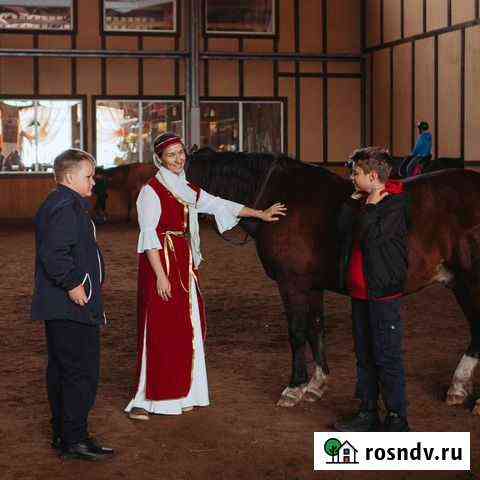 Детские праздники. Новый год для школьников Всеволожск