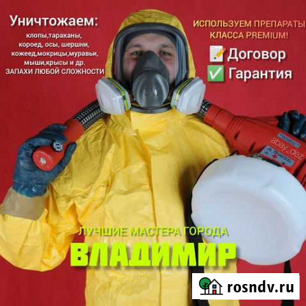 Уничтожение клопов, тараканов, ос, короеда Владимир - изображение 1