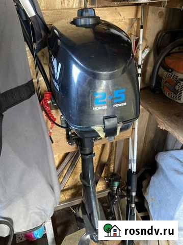 Лодочный мотор 2.5 Руза - изображение 1