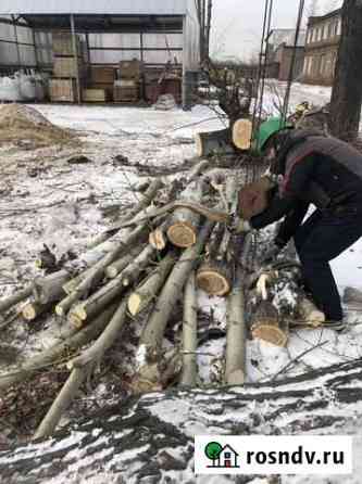 Отдам бесплатно с доставкой, тополь на дрова. Лени Иркутск