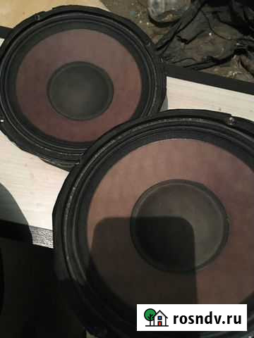 Фиолетки 410 Курчанская - изображение 1