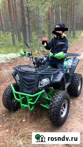 Квадроцикл новый Тайцы - изображение 1