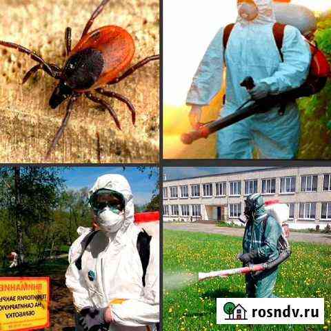 Обработка от комаров, клещей, клопов, тараканов Иркутск