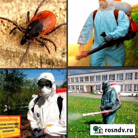 Обработка от комаров, клещей, клопов, тараканов Иркутск - изображение 1
