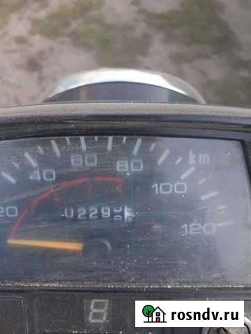 Рэйсер 110 Елань - изображение 1