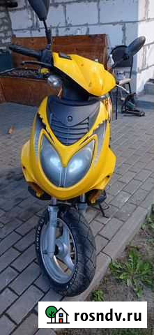 Recer lupus Брянск - изображение 1