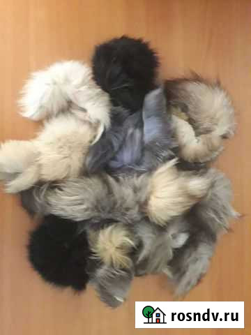 Меховые отходы Москва - изображение 1