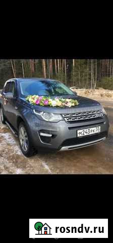 Пассажирские перевозки Александров - изображение 1