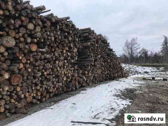 Лес кругляк пиловочник Елизово