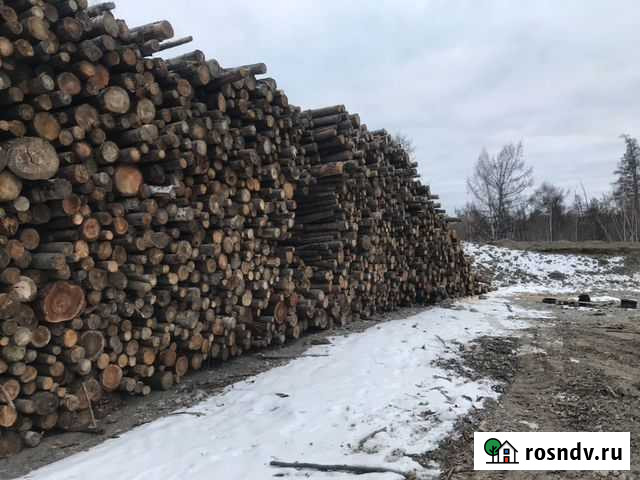 Лес кругляк пиловочник Елизово - изображение 1