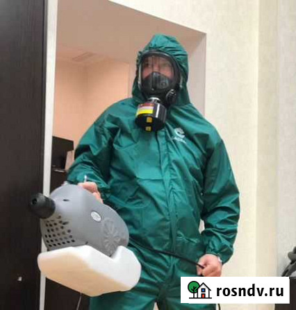 Дезинфекция. Дезинсекция. Уничтожение насекомых Бор - изображение 1