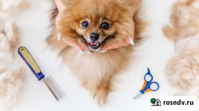 Ищу инвестора Санкт-Петербург - изображение 1