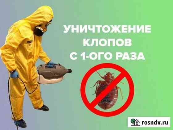 От клопов тараканов ос дезинсекция Санкт-Петербург