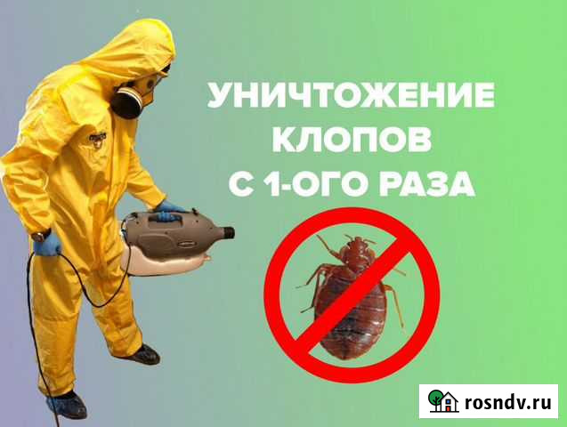 От клопов тараканов ос дезинсекция Санкт-Петербург - изображение 1