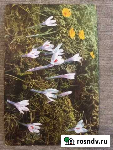 Открытки старинные одной серии Москва - изображение 1