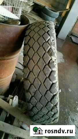 Шина на маз и камаз Энем - изображение 1