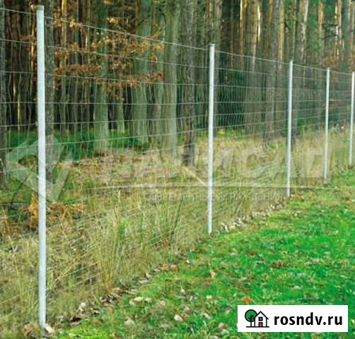Сетка оцинкованная дфл «Дорожная/Лесная»,плетенная Гулькевичи - изображение 1