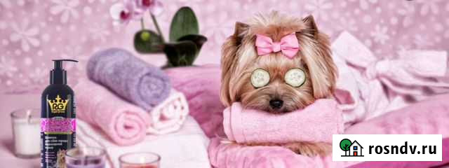 Стрижка собак мелких пород Вологда - изображение 1