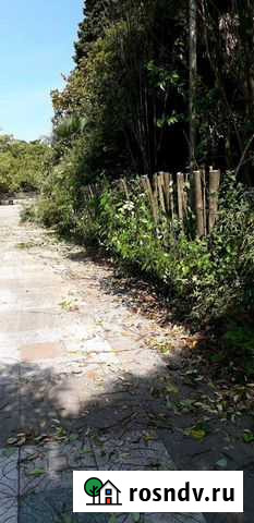 Расчистка участков Сочи - изображение 1