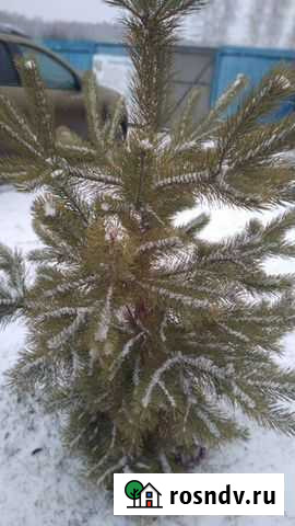 Открытие ип, Расчётного счёта Челябинск - изображение 1