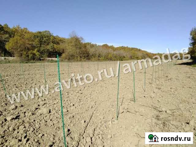 Приштамбовая опора (колышек) для яблок и винограда Минеральные Воды - изображение 1