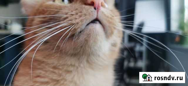 Передержка Мосрентген - изображение 1