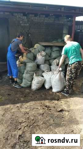 Вывоз мусора Саратов - изображение 1