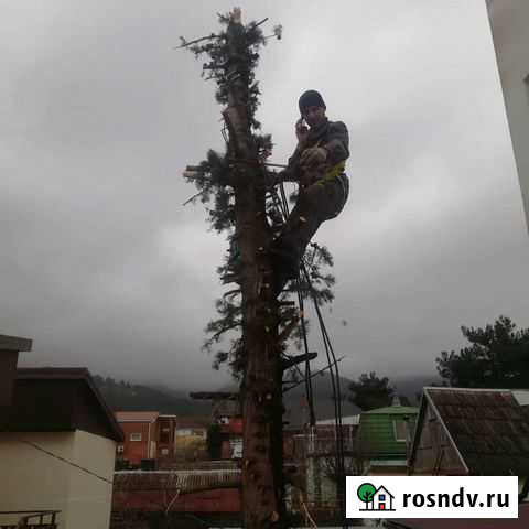 Спил деревьев,расчистка участков, покос травы, озе Геленджик - изображение 1