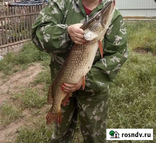 Рыбалка и отдых Икряное - изображение 1