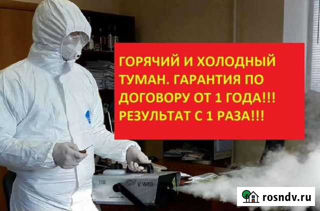 Уничтожение клопов, травить тараканов. Дезинфекция Самара - изображение 1