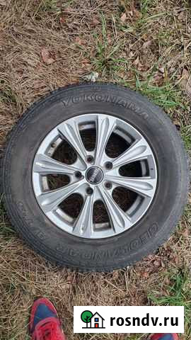 Диски шины Сочи - изображение 1