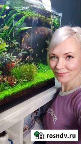 Аквариумы, установка, обслуживание, рыбки Тверь - изображение 1