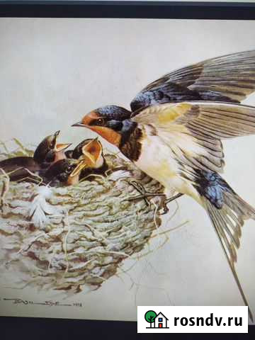 Английский язык Кострома - изображение 1