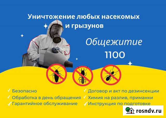 Дезинсекция, уничтожение насекомых в общежитии Набережные Челны - изображение 1