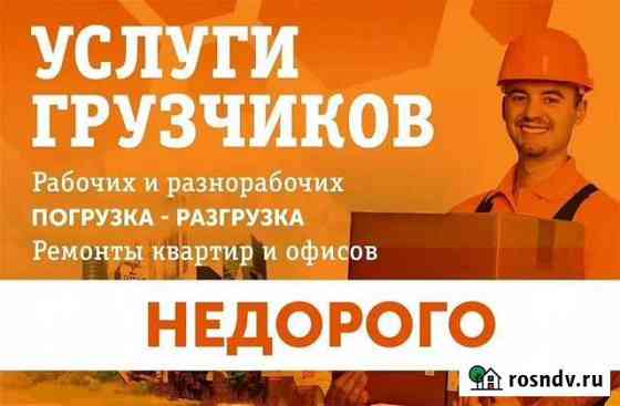 Грузчики Санкт-Петербург