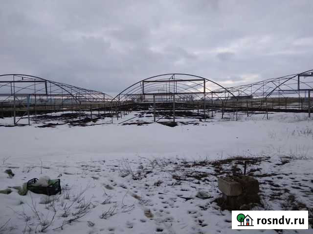 Теплицы Егорлыкская - изображение 1