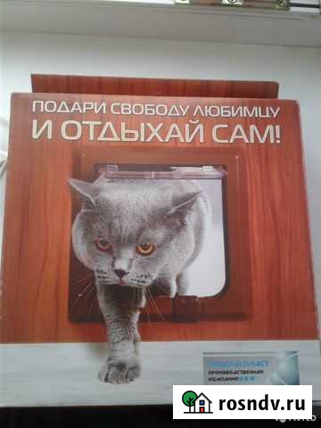 Дверь для кошек Озерск - изображение 1
